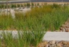 Jurien Baylandscaping-water-management-and-drainage-12.jpg; ?>